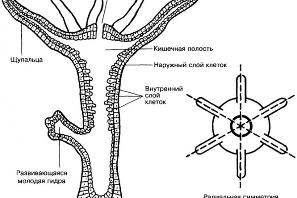 Купить гашиш в телеграмм астане