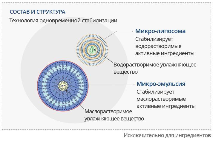 Кракен онион vk2 top